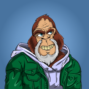 Bingo avatar