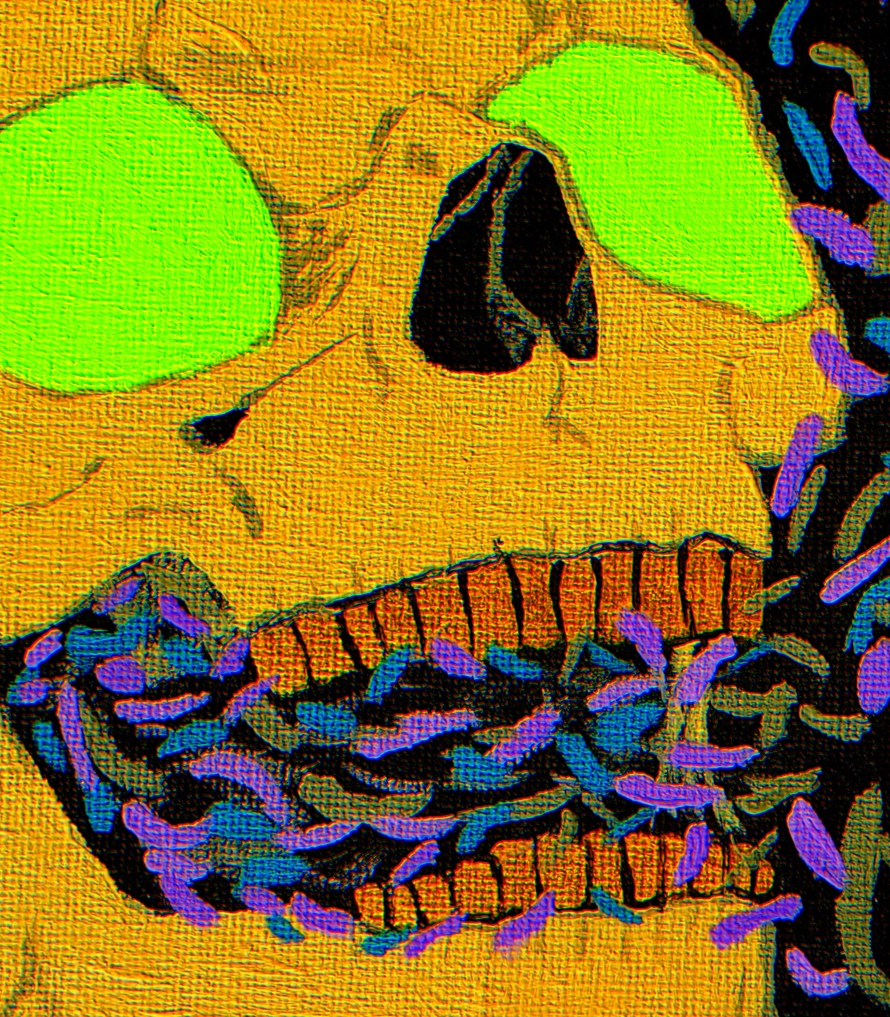 steve avatar