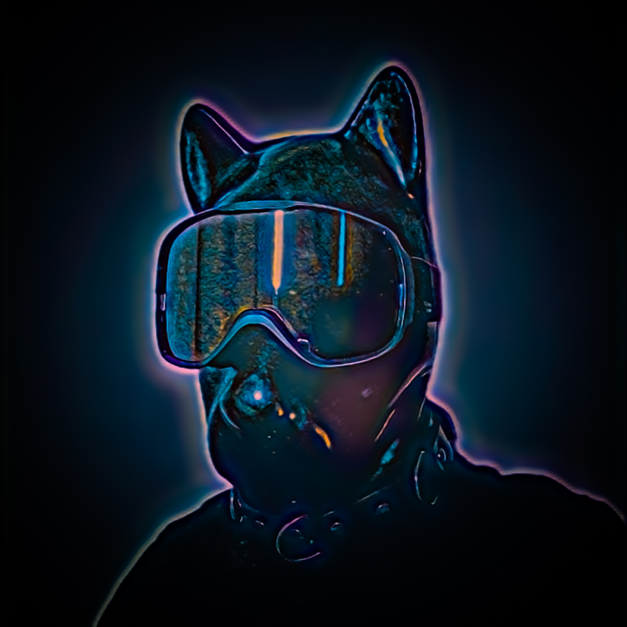 SY.Fan avatar