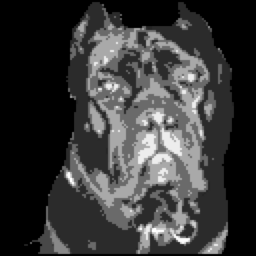 apollo.giovanni avatar