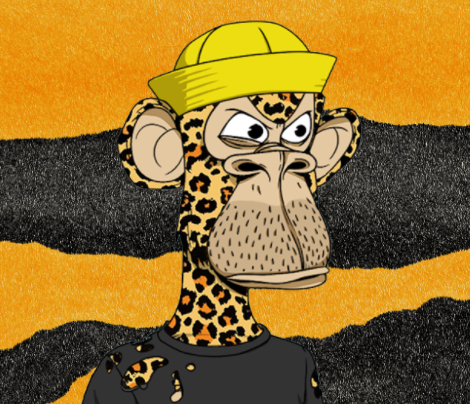 PirateCheetah avatar